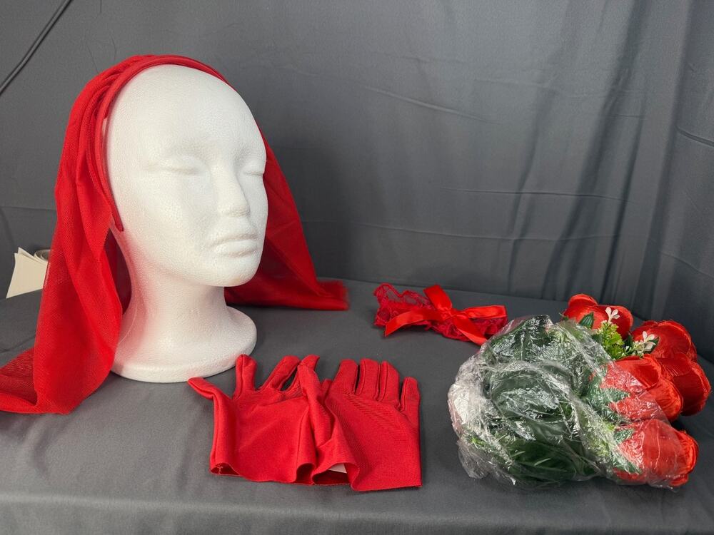 Beetlejuice Lydia Cosplay Beetle Bride Adult Costume 6 Pc Size Large NWT